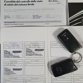 Lexus NX300Hybrid 4WD Premium