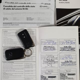 Lexus NX300Hybrid 4WD Premium